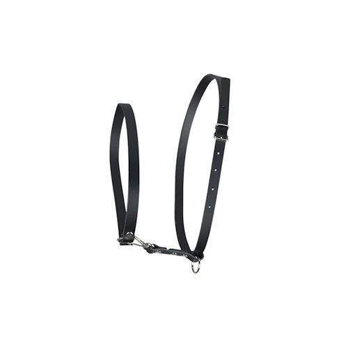 Suchgeschirr Böttcher Leder 1 Suchgeschirr Böttcher Leder