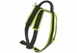 Geschirr Für Welpen & Junghunde