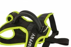 Geschirr Für Welpen & Junghunde 7 Geschirr Für Welpen & Junghunde -Geschäft Für Trainingsausrüstung Für Haustiere 0534 3