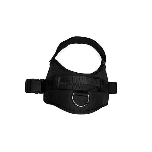 Hetzgeschirr Rex 2 Hetzgeschirr Rex – Bild 2