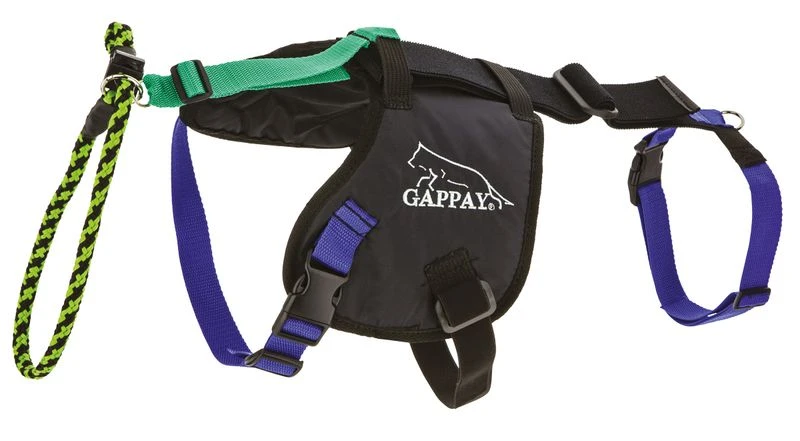 Sitz Platz Steh Geschirr 1 Sitz Platz Steh Geschirr