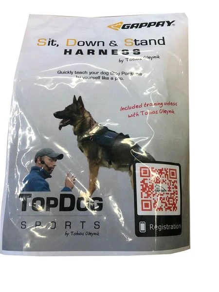 Sitz Platz Steh Geschirr 2 Sitz Platz Steh Geschirr – Bild 2