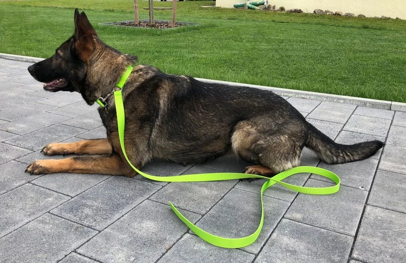 Arbeitsleine Extrem 1 Arbeitsleine Extrem