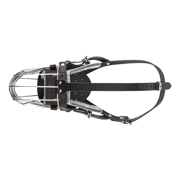 Stahlkorb Mit Stirnriemen & Polsterung 2 Stahlkorb Mit Stirnriemen & Polsterung – Bild 2