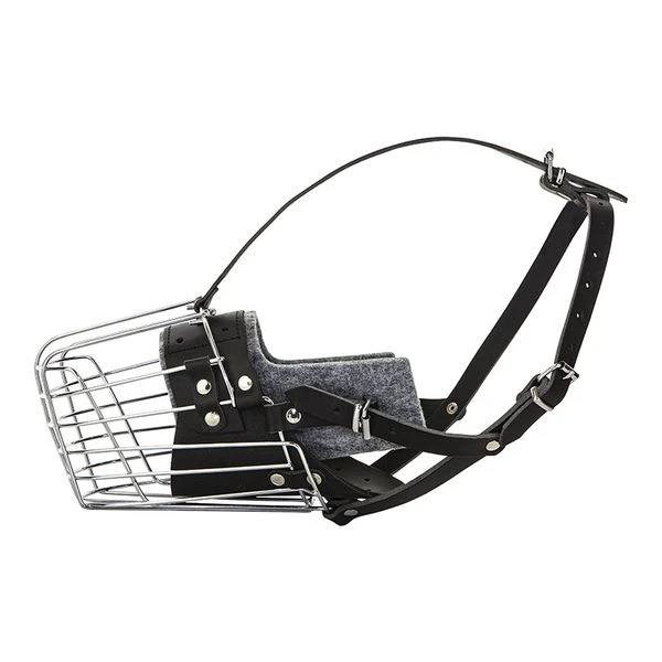 Stahlkorb Mit Stirnriemen & Polsterung 1 Stahlkorb Mit Stirnriemen & Polsterung