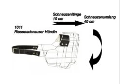 Drahtkorb Klassisch -Geschäft Für Trainingsausrüstung Für Haustiere 1011