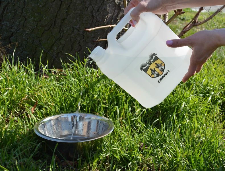 Wasserkanister 3 L Für Unterwegs 2 Wasserkanister 3 L Für Unterwegs – Bild 2