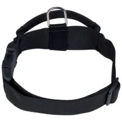 Hetzhalsband Nylon Mit Griff 5 Hetzhalsband Nylon Mit Griff -Geschäft Für Trainingsausrüstung Für Haustiere 3045 5f23ea7c9a786