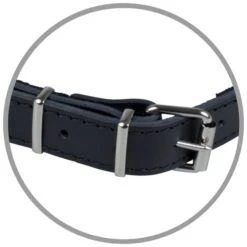 Lederhalsband Schwarz 5 Lederhalsband Schwarz -Geschäft Für Trainingsausrüstung Für Haustiere 3051 5f23e8d118fdc