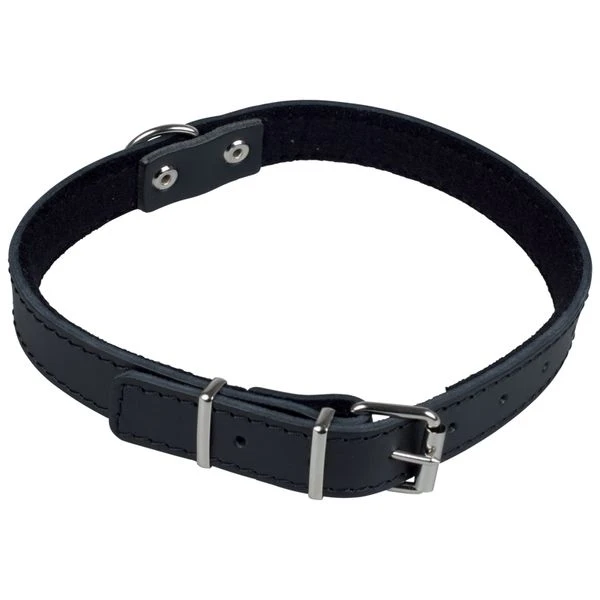 Lederhalsband Schwarz 1 Lederhalsband Schwarz