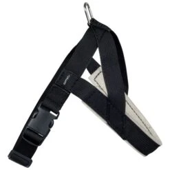 Hetzgeschirr Gurt Für Junghunde