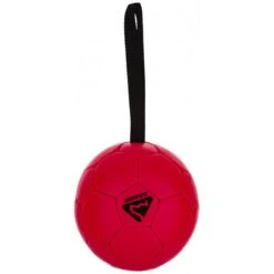 Fußball 16 Cm 8 Fußball 16 Cm -Geschäft Für Trainingsausrüstung Für Haustiere 3577 60ddb40108e49