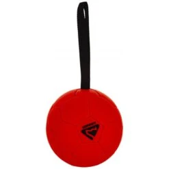 Fußball 16 Cm 7 Fußball 16 Cm -Geschäft Für Trainingsausrüstung Für Haustiere 3577 60ddb4033d6a4