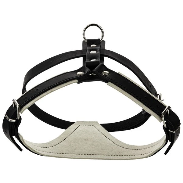 Hetzgeschirr Kim 1 Hetzgeschirr Kim