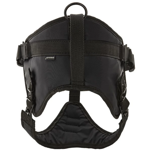 Hetzgeschirr REX 2 Mit Cobraschnalle 3 Hetzgeschirr REX 2 Mit Cobraschnalle – Bild 3