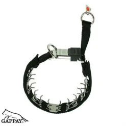 Dressurkette 3,25 Mm Edelstahl Mit Überzug Montiert