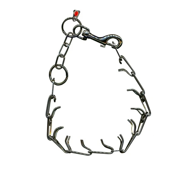 Dressurkette 3,25mm Mit Karabinerverschluß 1 Dressurkette 3,25mm Mit Karabinerverschluß