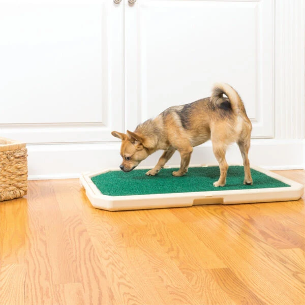 Piddle Place™ Haustiertoilette 3 Piddle Place™ Haustiertoilette – Bild 3