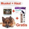 [Paket] Muskel & Haut Paket Mit Gratis Shampoo