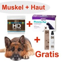 [Paket] Muskel & Haut Paket Mit Gratis Shampoo