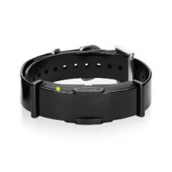 Dogtra ARC800 Einzelempfänger