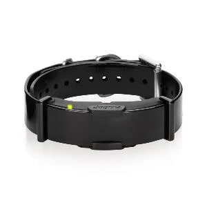 Dogtra ARC800 Einzelempfänger 1 Dogtra ARC800 Einzelempfänger