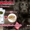 [Paket] FangGold Puppy Geflügel & Reis Angebot