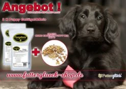 [Paket] FangGold Puppy Geflügel & Reis Angebot