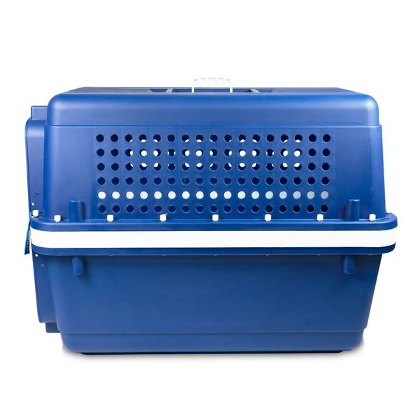 Gradlyn Kennel Flugbox 85er Giant High 5 Gradlyn Kennel Flugbox 85er Giant High – Bild 5