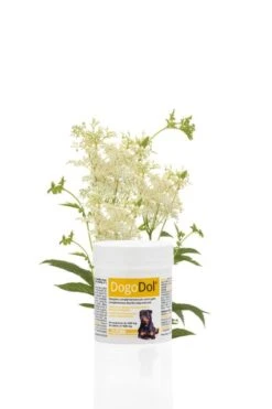 [Paket] Dogoteka Arthrosebox Maxy - Für Mittlere Und Große Rassen -Geschäft Für Trainingsausrüstung Für Haustiere DOGOdol 1