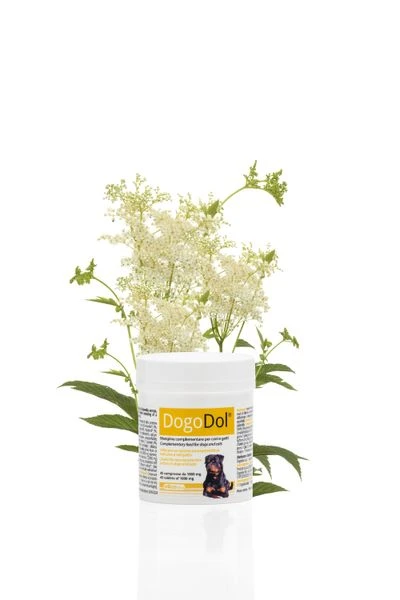 Dogoteka DogoDol 1 Dogoteka DogoDol