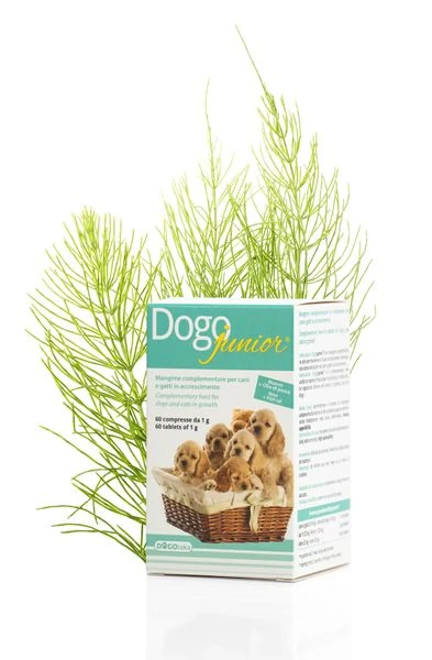 Dogoteka DogoJunior 1 Dogoteka DogoJunior