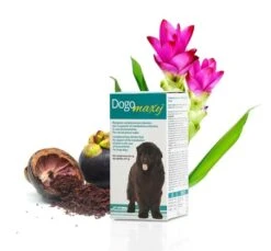 [Paket] Dogoteka Arthrosebox Maxy - Für Mittlere Und Große Rassen -Geschäft Für Trainingsausrüstung Für Haustiere DOGOmaxy