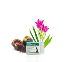 [Paket] Dogoteka Arthrosebox Mini - Für Kleine Rassen -Geschäft Für Trainingsausrüstung Für Haustiere DOGOmini 1