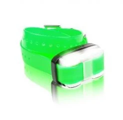 Dogtra 4500 EDGE Zusatzempfänger 5 Dogtra 4500 EDGE Zusatzempfänger -Geschäft Für Trainingsausrüstung Für Haustiere EDGE RX Green big