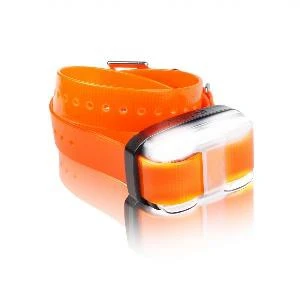 Dogtra 4500 EDGE Zusatzempfänger 2 Dogtra 4500 EDGE Zusatzempfänger – Bild 2