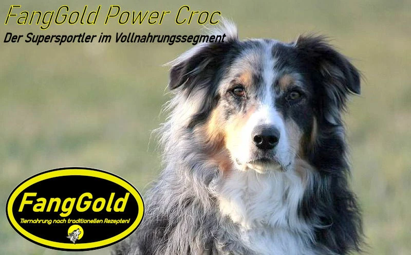FangGold Power Croc 15 Kg 3 FangGold Power Croc 15 Kg – Bild 3