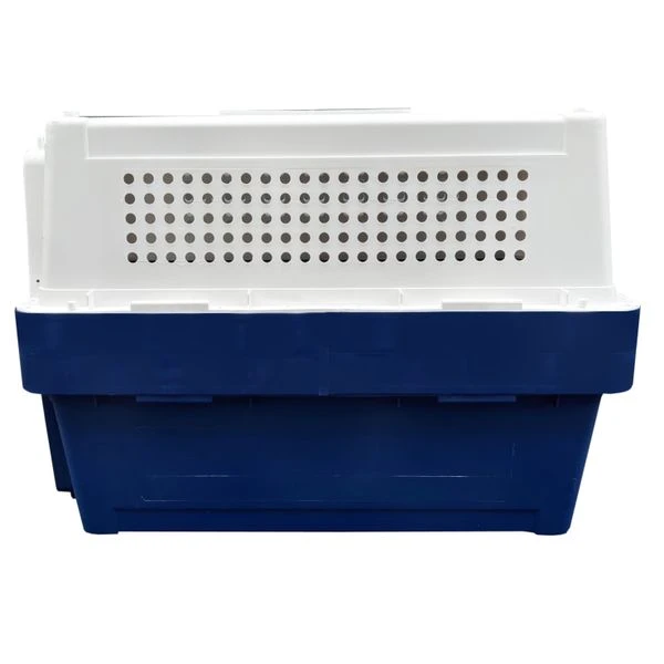 Gradlyn Kennel Flugbox 100er Giant High 4 Gradlyn Kennel Flugbox 100er Giant High – Bild 4