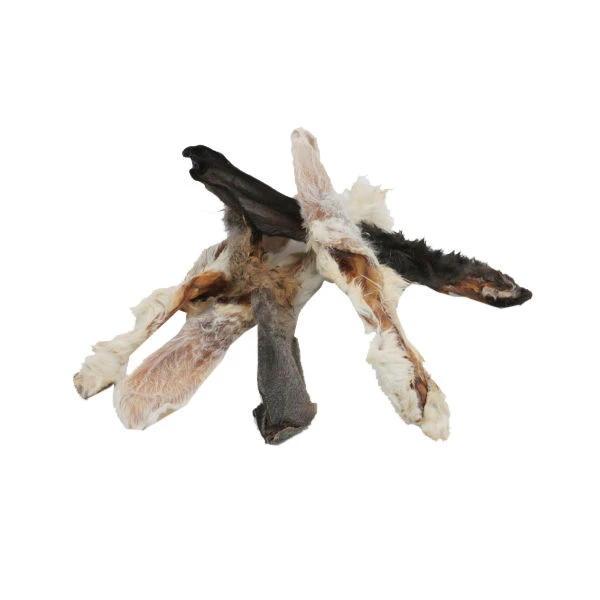 Kaninchenohren Mit Fell Deutsche Qualität 1 Kaninchenohren Mit Fell Deutsche Qualität