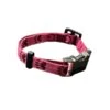Welpenhalsband Pink 15 Mm Mit Klickverschluss