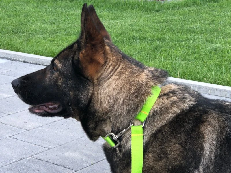 Arbeitsleine Extrem 3 Arbeitsleine Extrem – Bild 3