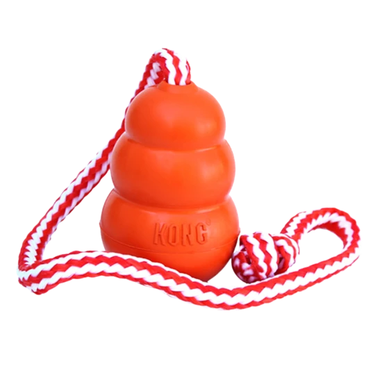 Kong Aqua 1 Kong Aqua