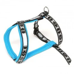 Laufgeschirr RUN-Silver Kurz Türkis