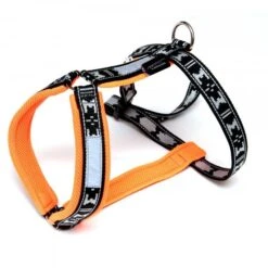 Laufgeschirr RUN-Silver Kurz Orange