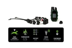 Set CTT4 & Chameleon4 Mit Fingerkick 35 Set CTT4 & Chameleon4 Mit Fingerkick -Geschäft Für Trainingsausrüstung Für Haustiere MARTINSYSTEM 240126 VisuelCTT4 RVB200 017 1