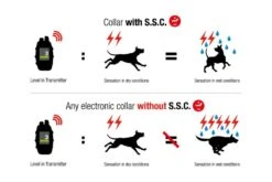 Chameleon 4 Einzelempfänger 17 Chameleon 4 Einzelempfänger -Geschäft Für Trainingsausrüstung Für Haustiere MARTINSYSTEM 240126 VisuelCTT4 RVB200 020 1