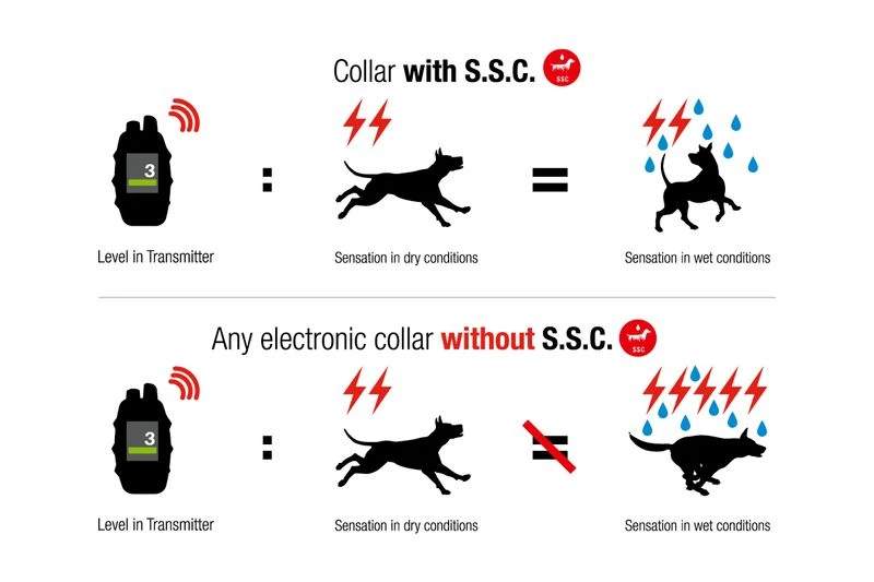 Set CTT4 & Chameleon4 Mit Fingerkick 13 Set CTT4 & Chameleon4 Mit Fingerkick – Bild 13