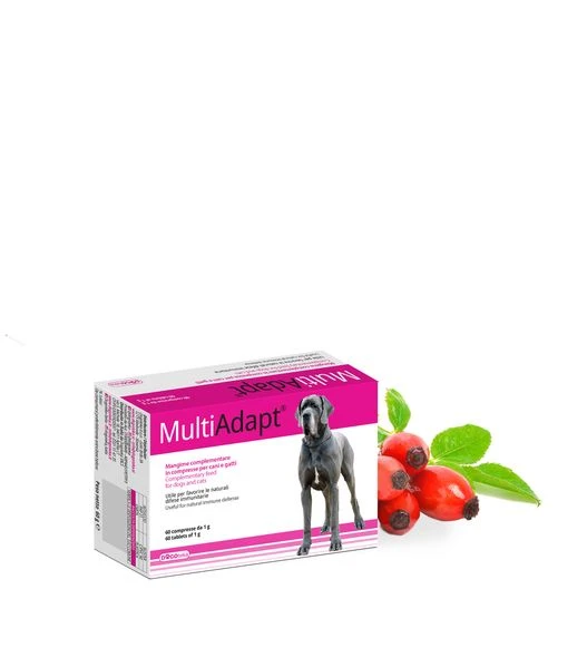 Dogoteka MultiAdapt 1 Dogoteka MultiAdapt