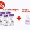 [Paket] Dogoteka SPARPAKET 5x CortiAdapt + 1x DogoDrops GRATIS