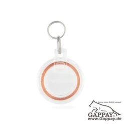 Mikrochip Schlüssel